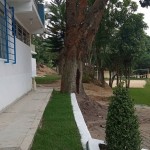 AABB 5