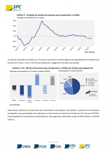 Relat-Recuperação-Reincidentes-PF-SP_out2024_page-0005