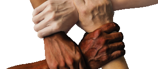 Servi�os
