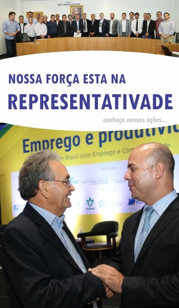 Representatividade