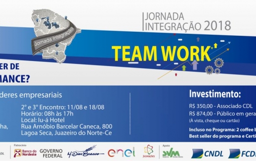 Teamwork – Desenvolvimento de Líderes e Equipes de Alta Performance
