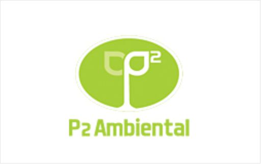 P² AMBIENTAL