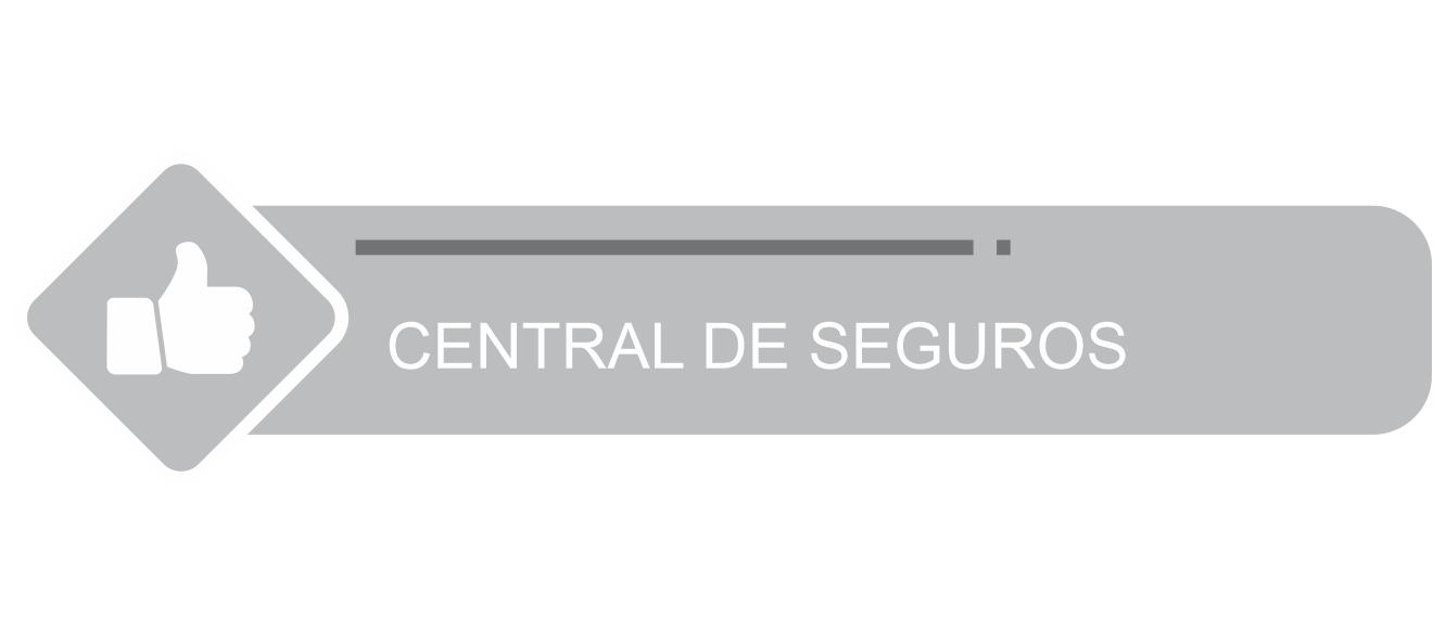Central de Seguros
