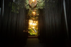188A6081_Easy-Resize.com