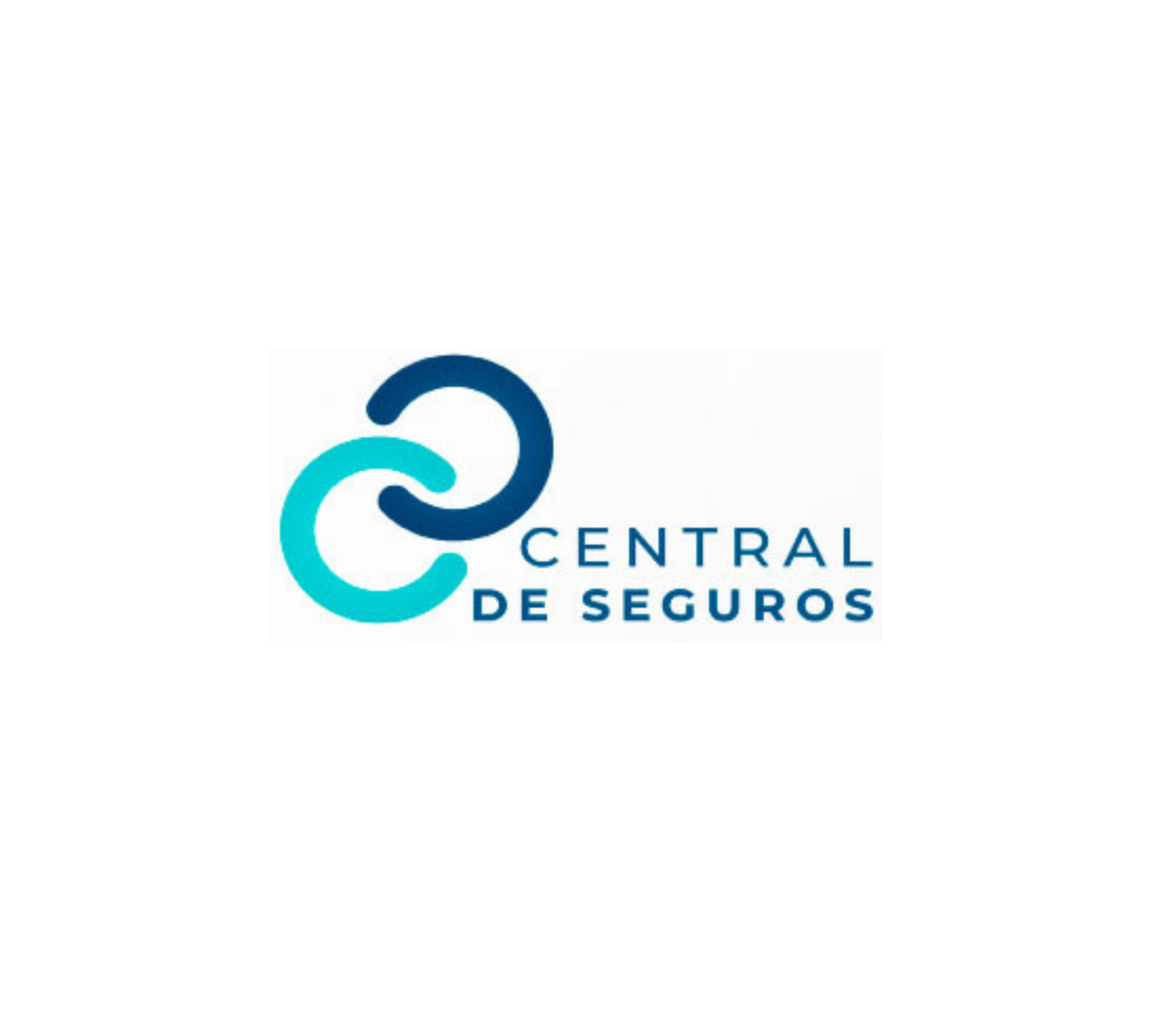 CENTRAL DE SEGUROS