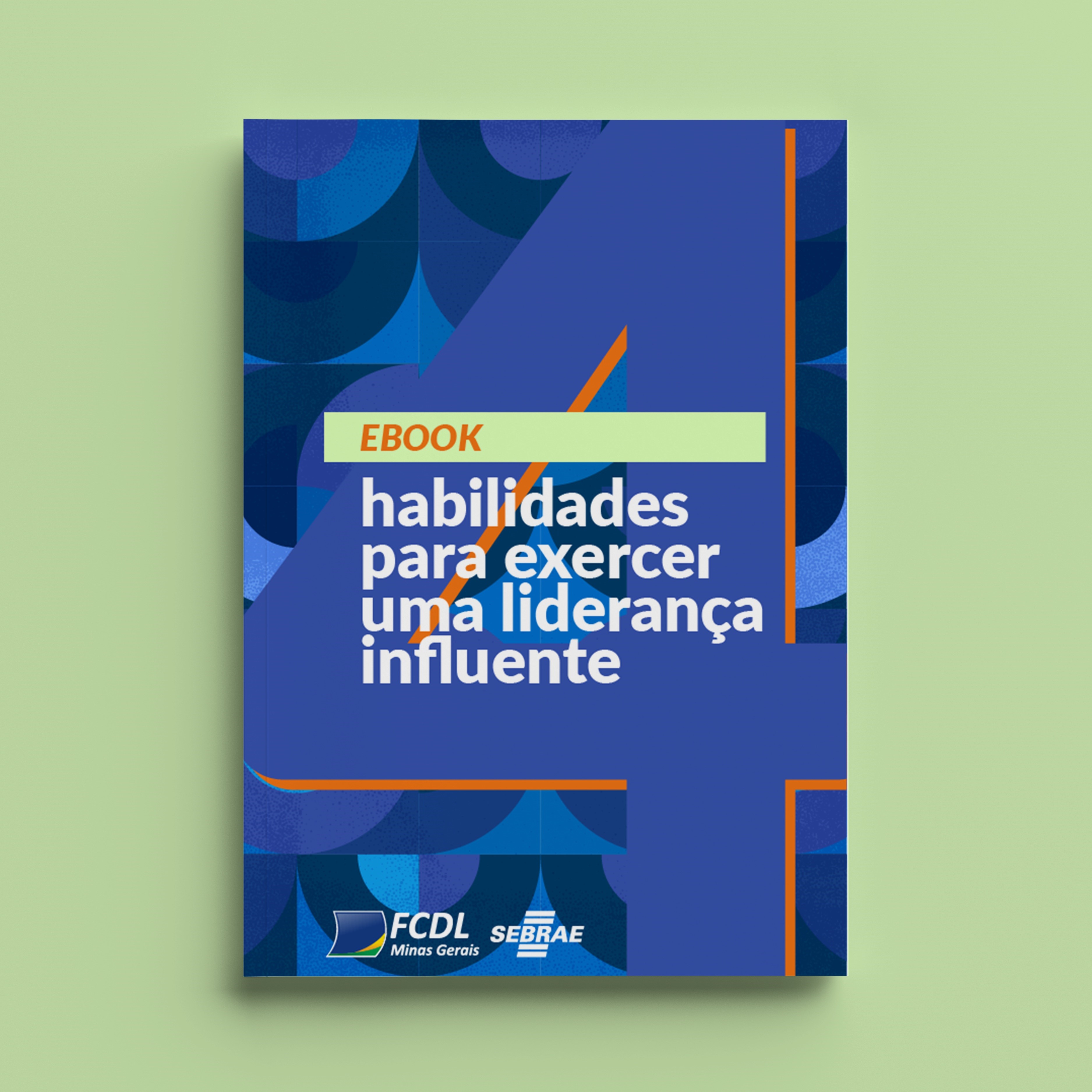 LIDERANÇA INFLUENTE